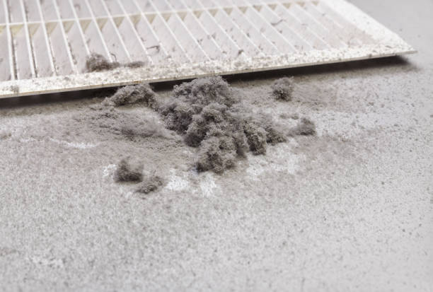 Best Air Duct Cleaning Company Near Me  in Greenville, FL