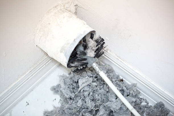 Best Air Duct Mold Removal  in Greenville, FL